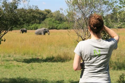 Natucate Blog Botswana Chobe National Park ⋅ Natucate