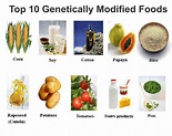 Genetically modified foods in our daily meals, let us count the ways ...