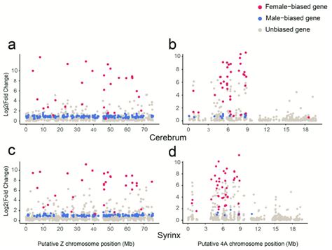Distribution And Expression Characteristics Of Sex Biased Genes On