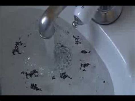How To Clean Black Sludge In Bathroom Sink Drains Artcomcrea