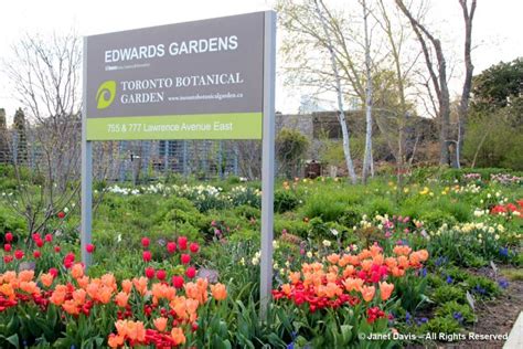 Toronto Botanical Garden Entrance Sign And Tulips Janet Davis Explores
