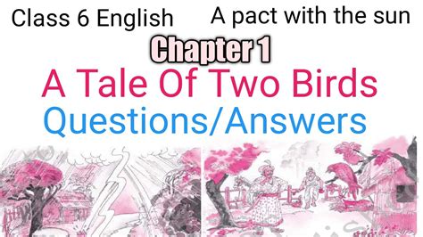 A Tale Of Two Birds Class 6 Question Answer Class 6 English Chapter