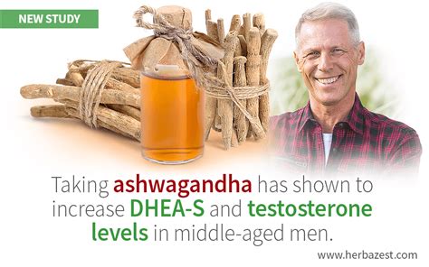 Ashwagandha Promotes Hormonal Balance In Aging Men Herbazest