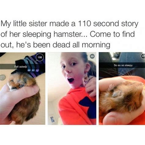 Dead Hamster Meme Deeper