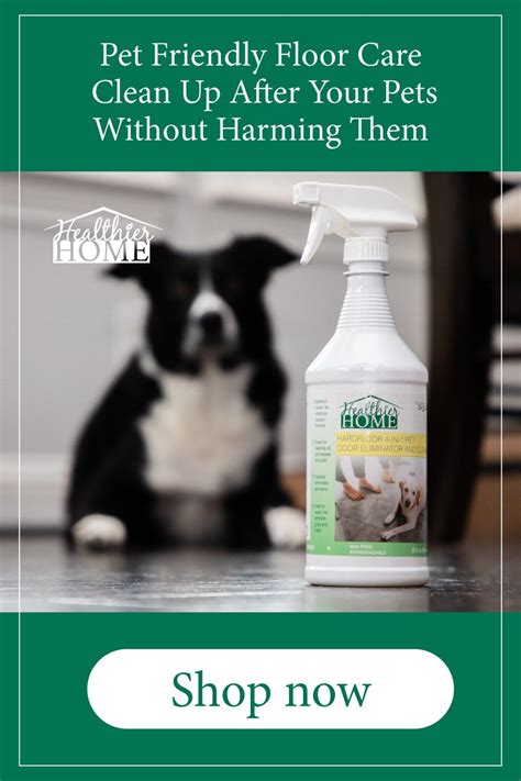 4-In-1 Carpet Stain Cleaner (32 Oz.) | Pet safe cleaning ...