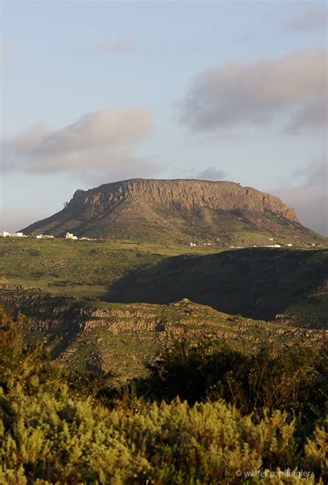 Von chipude auf den tafelberg. Nature photos from an Amateur Naturalist: Valle Gran Rey ...