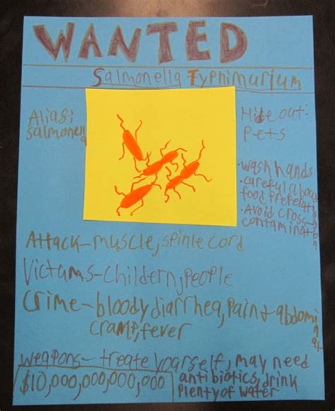 Salmonella Bacteria Wanted Poster Marilyny