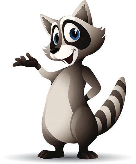 Raccoon Clip Art Vector Images And Illustrations Istock