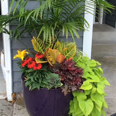 Late Summerearly Fall Planter Fall Planters Pinterest