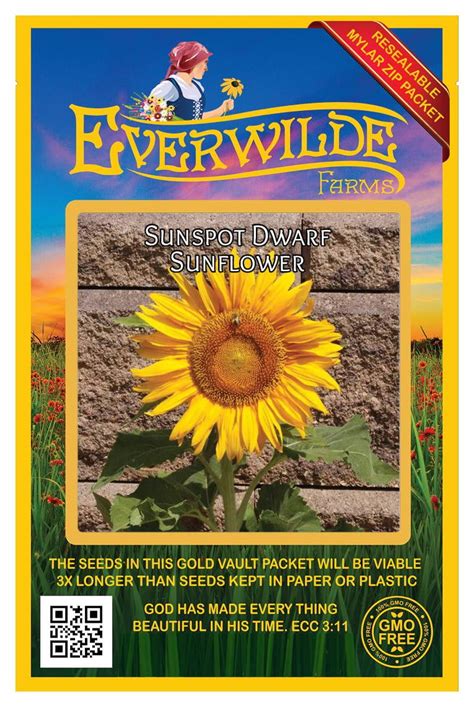 Everwilde Farms Sunspot Dwarf Sunflower Garden Flower Seeds