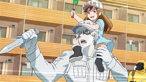 Anime Cells At Work Plaquetas Cells At Work U 1146 Cells At