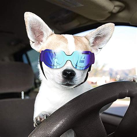 Top 10 Best Dog Sunglasses In 2021 Toptenthebest Dog Sunglasses