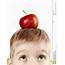 Boy With An Apple On His Head Stock Photo  Image Of Straw Tasty 17542558