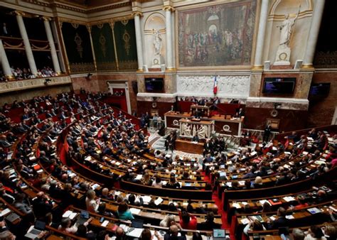 Bioethics law to be discussed in French Senate - IFN