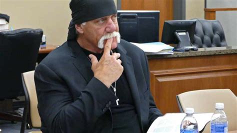 Hulk Hogan Takes On Website Over Sex Tape