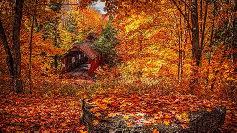 Fall Foliage Desktop Wallpapers Wallpaper Cave