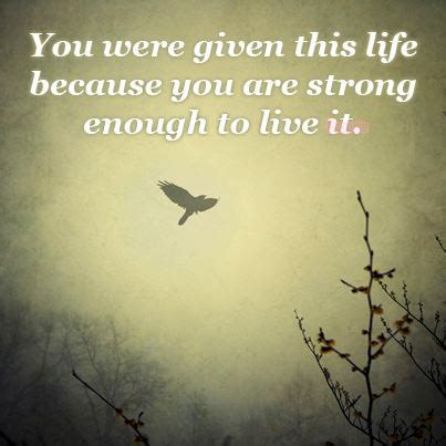 Amanda 139 books view quotes : You were given this life because you are strong enough to live it. | I Share Quotes