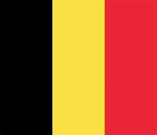 Image result for pics of a Belgian flag