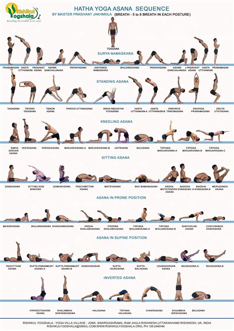 Hatha Yoga Primary Series Infographic Hatha Yoga Hatha Yoga Sequence