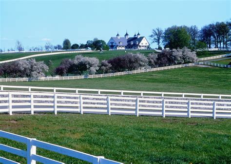 Kentucky Horse Farms Beautiful Places My Old Kentucky Home