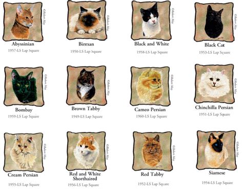 Different Breeds Of Cats With Pictures And Names Cats Types