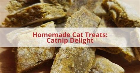 Homemade Catnip Cat Treats Catnip Delight