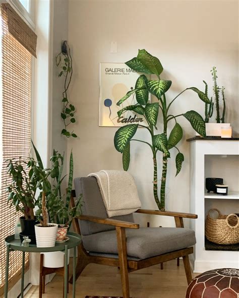 Plant Corner Artofit