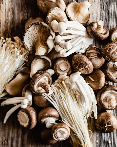 13 Different Types of Mushrooms & Their Uses — Zestful Kitchen