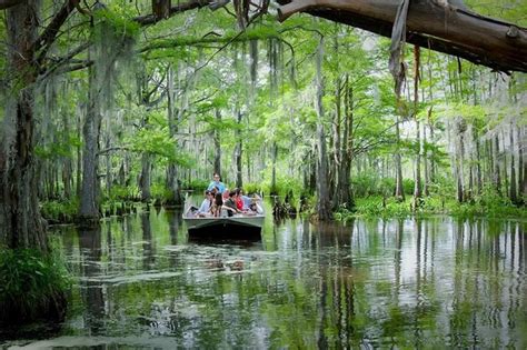Swamp Boat Tours In Louisiana That Will Make You Fall In Love With The Bayou