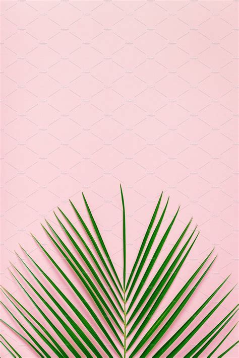Tropical Leaf On Pastel Background Containing Above Art And
