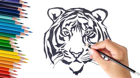 Tiger Face Drawing For Beginners Step By Step Youtube