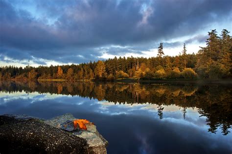 Wallpaper Sunlight Landscape Forest Fall Leaves Lake Nature