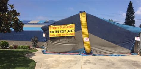We never have problems with ants or any other bugs since using them and if we do so some ants, they come back and take care of the problem. Termite Exterminator in San Diego - BRADLEY'S PEST CONTROL ...