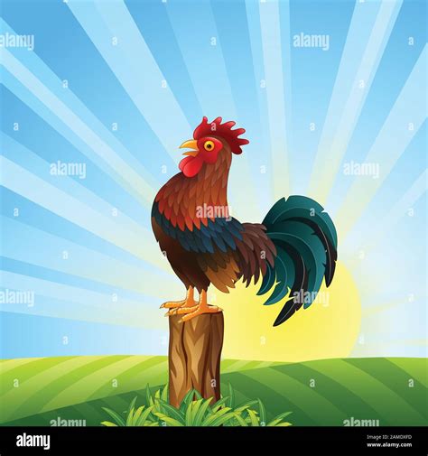 Cartoon Rooster Crowing Isolated On White Background Stock Vector Image
