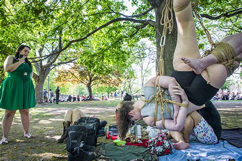 Nine trees in trinity bellwoods park on christmas day. This is what Trinity Bellwoods looks like on a weekend