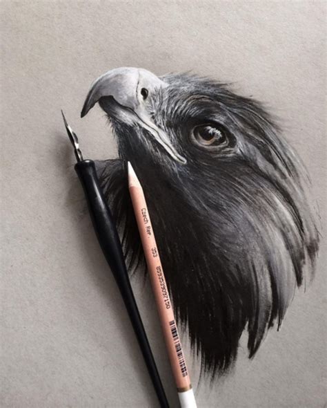 Check spelling or type a new query. Stunning Animals Realistic Pencil Drawing by Jonathan Martinez | 99inspiration