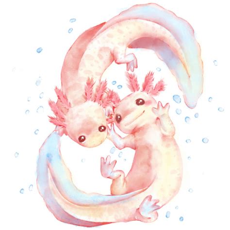 Check spelling or type a new query. axolotl on Tumblr