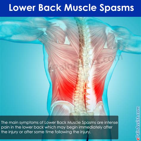 The best back exercises to build your best back ever. Lower Back Muscle Spasms: Treatment, Causes, Symptoms