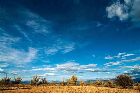 Desert And Blue Sky Photograph By Jess Kraft