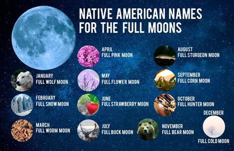 Native American Names For The Full Moons Moon Names Full Moon Names