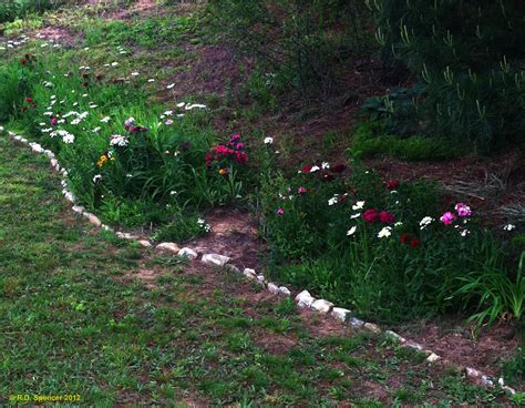 Eaglesbrothers Gourds And Art Early Spring Wild Flowers