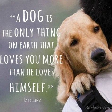 A Dog Is The Only Thing On Earth That Loves You More Than He Loves