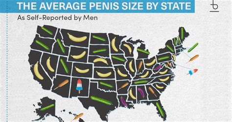 Data Visualization The Average Self Reported Penis Size By State
