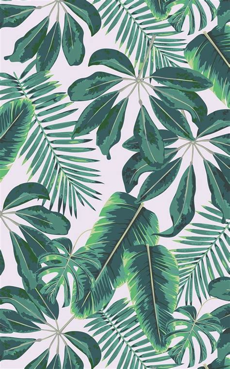 Mixed Tropical Leaves Wallpaper Mural Hovia Palm Trees Wallpaper