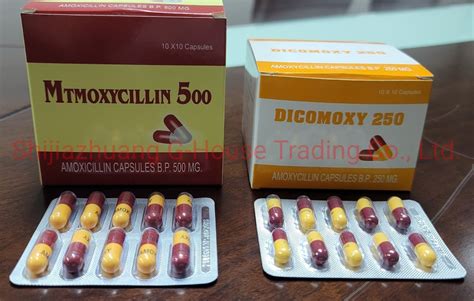 Amoxicillin Capsule 500mg Finished Medicines Western Medicines
