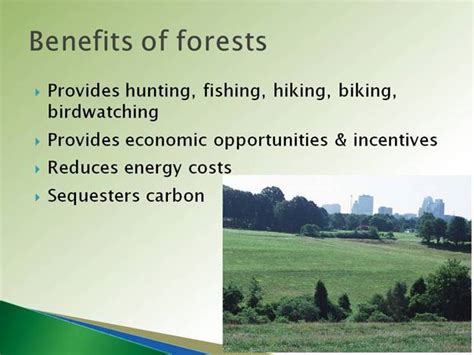 Benefits Forests