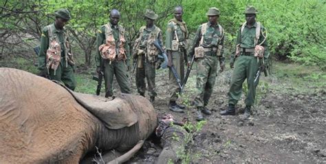 Tanzania Updates On Twitter Tanzania The Anti Poaching Unit Has