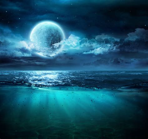 Underwater Moonlight Stock Photos Pictures And Royalty Free Images Istock