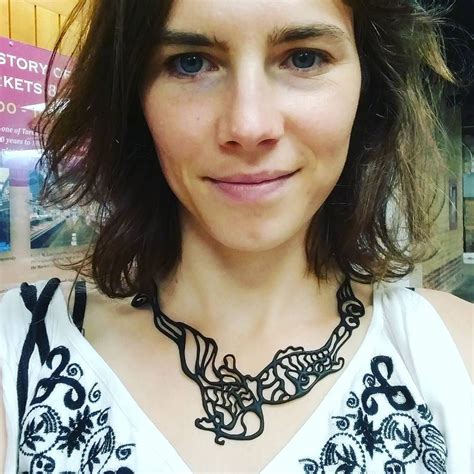 Between 2007 and 2015, she spent nearly four years in an italian prison and eight years on trial for a murder she didn't commit. Amanda Knox makes her Instagram public: 'No more hoarding all my amazing cat videos' | Instagram ...