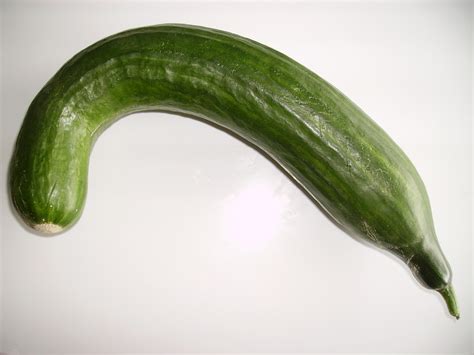 Datei Bended Cucumber Wikipedia
